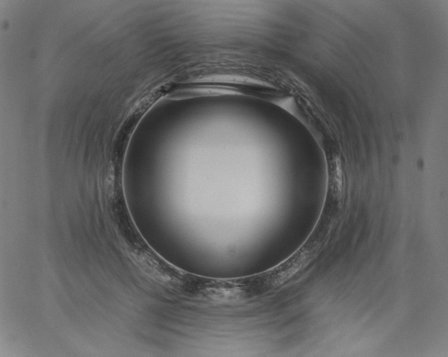 X0000067360552200604131819