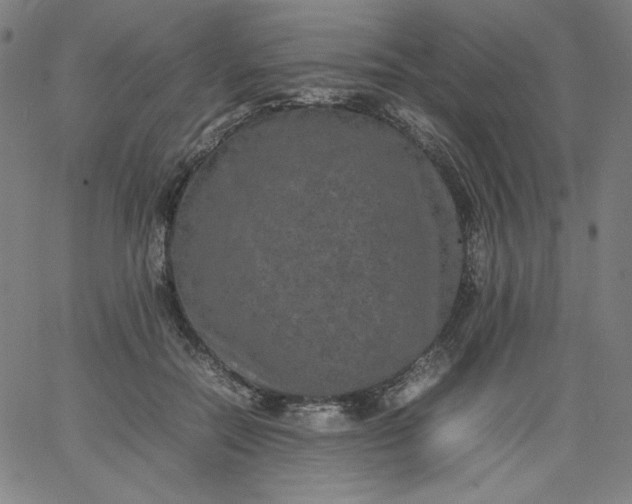 X0000067360554200604131819