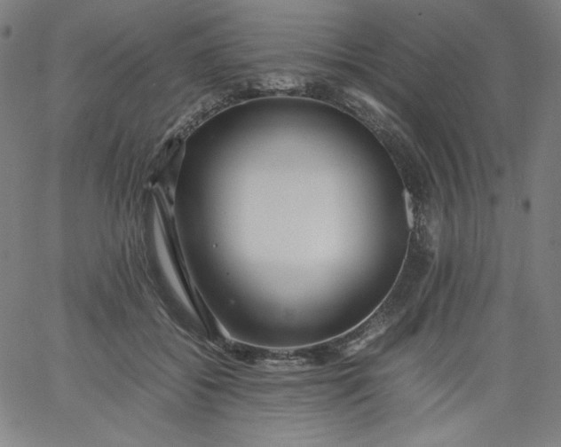 X0000067360556200604131819