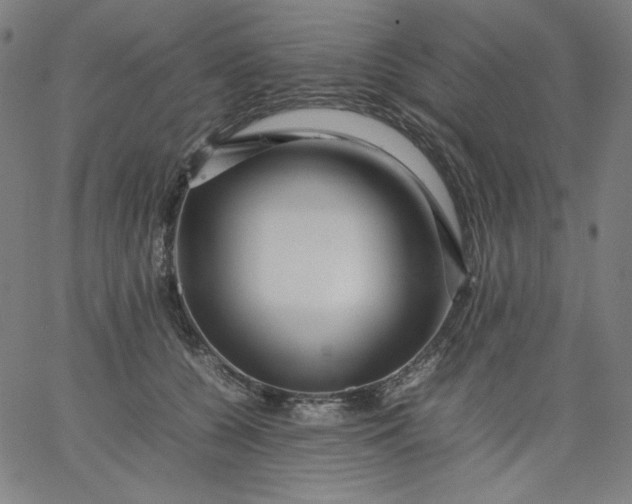 X0000067360560200604131819