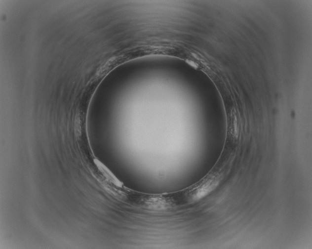X0000067360562200604131819