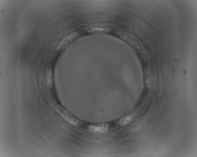 X0000067360563200604131819