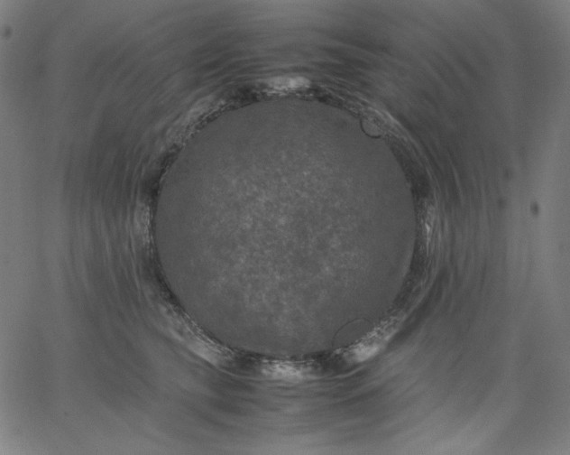X0000067360565200604131819