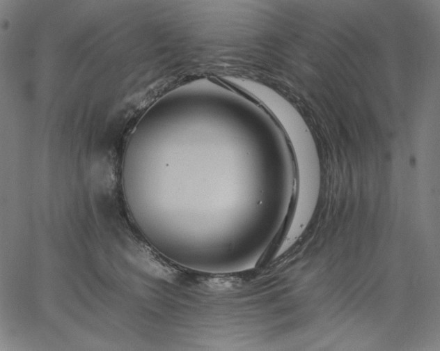 X0000067360566200604131819