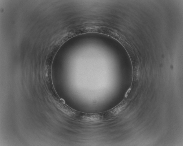 X0000067360567200604131819