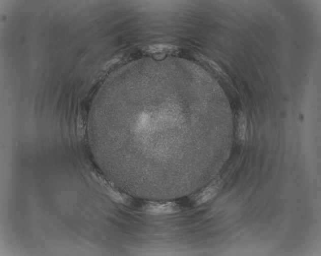 X0000067360569200604131819