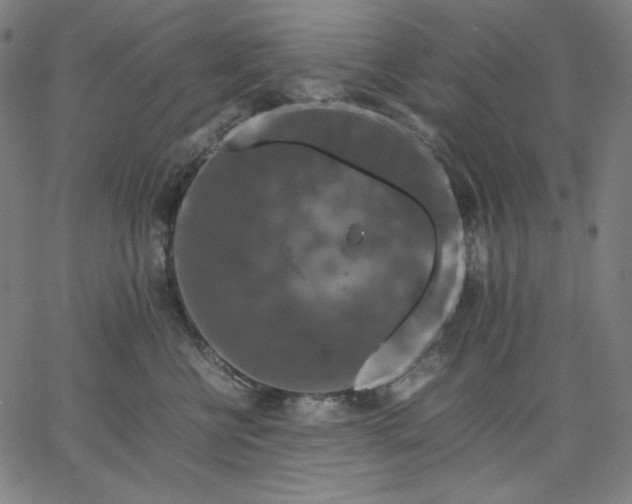 X0000067360570200604131819