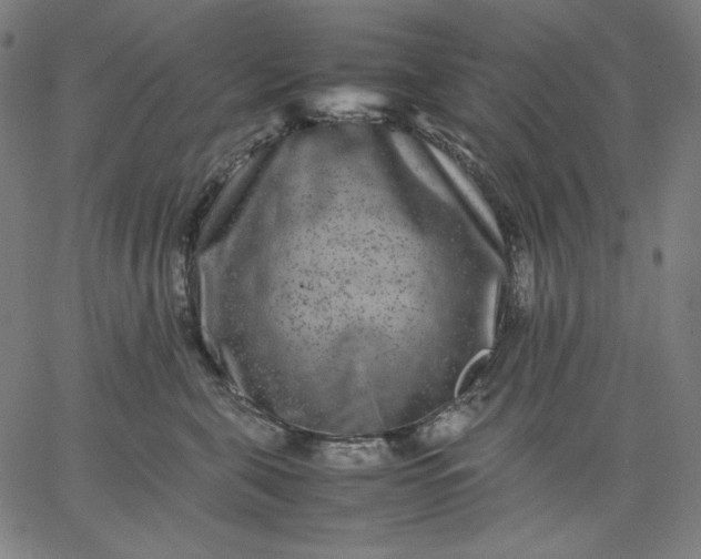 X0000067360571200604131819