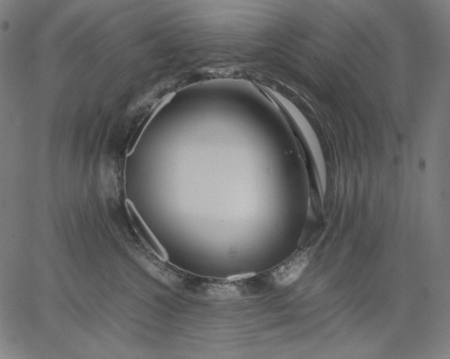 X0000067360572200604131819