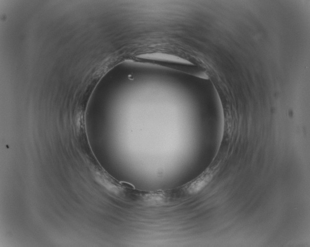 X0000067360574200604131819