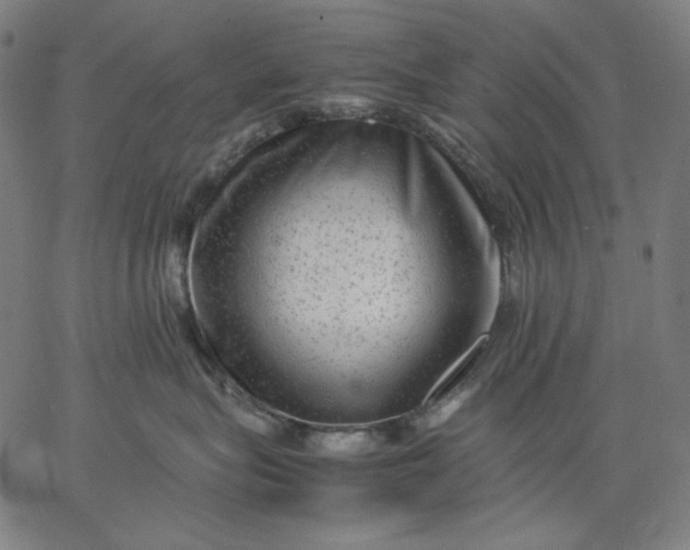 X0000067360575200604131819