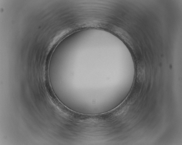 X0000067360578200604131818
