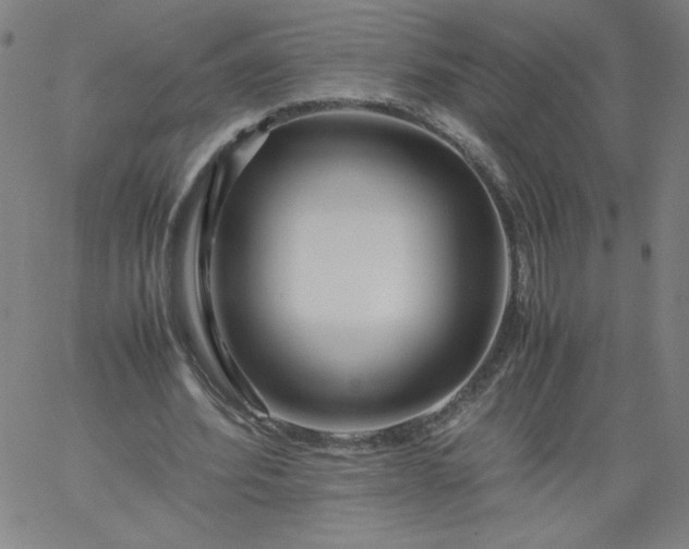 X0000067360580200604131818