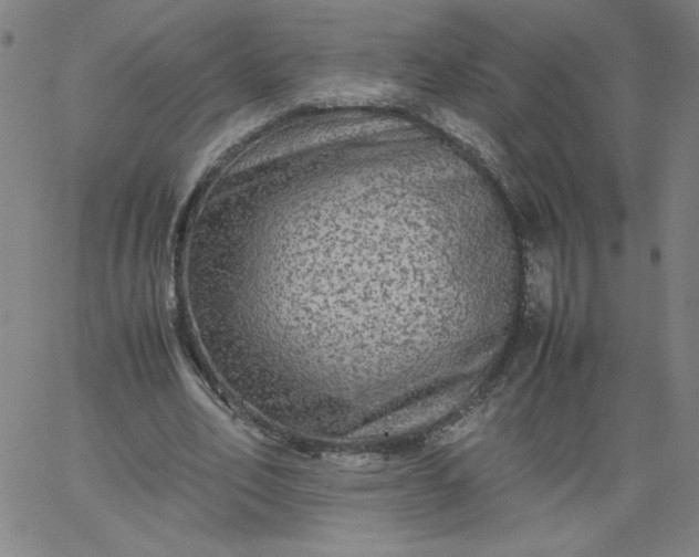 X0000067360582200604131818