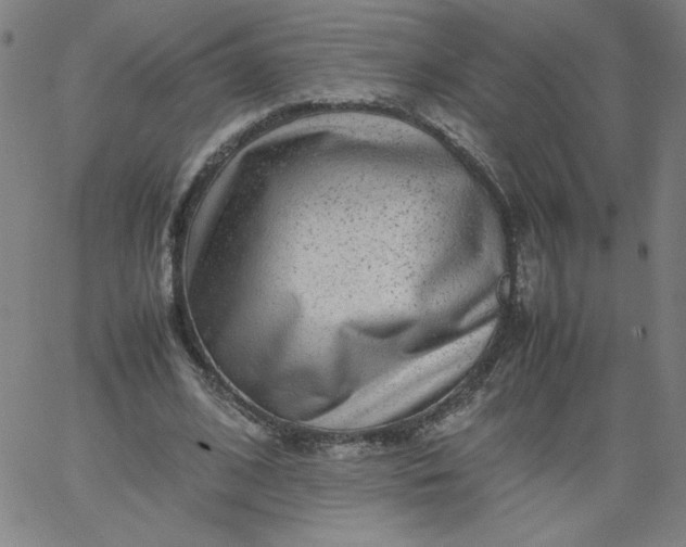 X0000067360584200604131818
