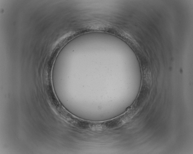 X0000067360587200604131818