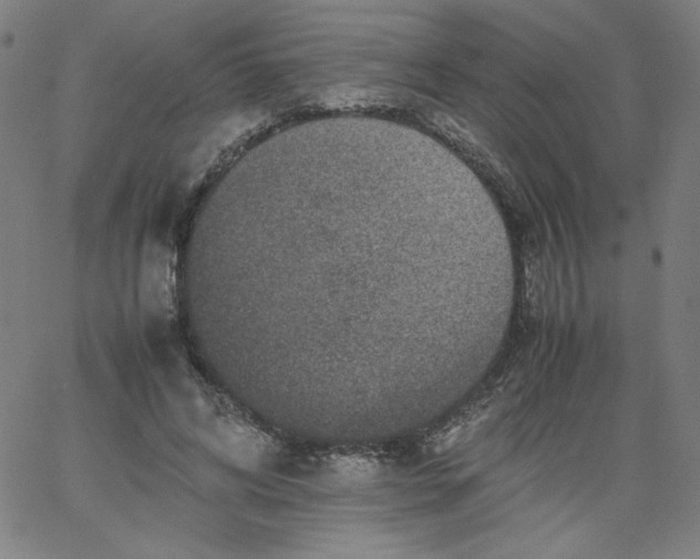 X0000067360592200604131818