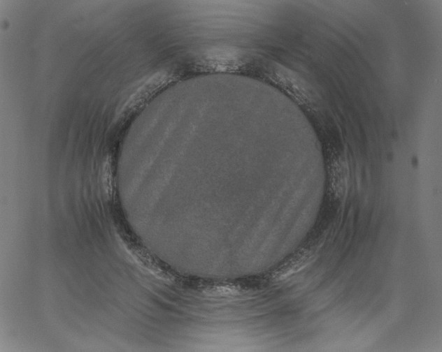 X0000067360594200604131818