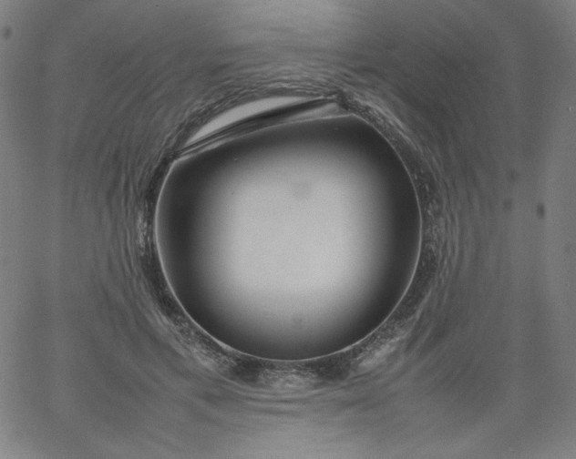 X0000067360597200604131818