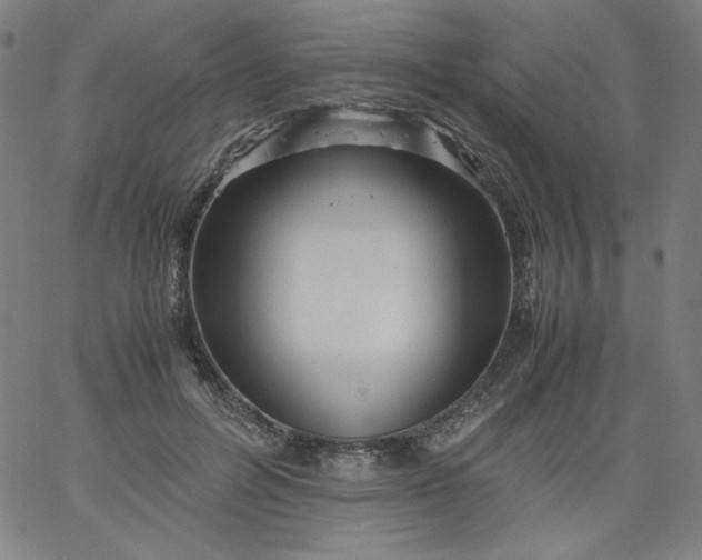 X0000067360600200604131818