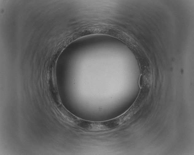 X0000067360605200604131818