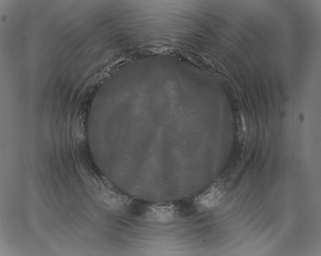 X0000067360606200604131818