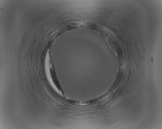 X0000067360607200604131818