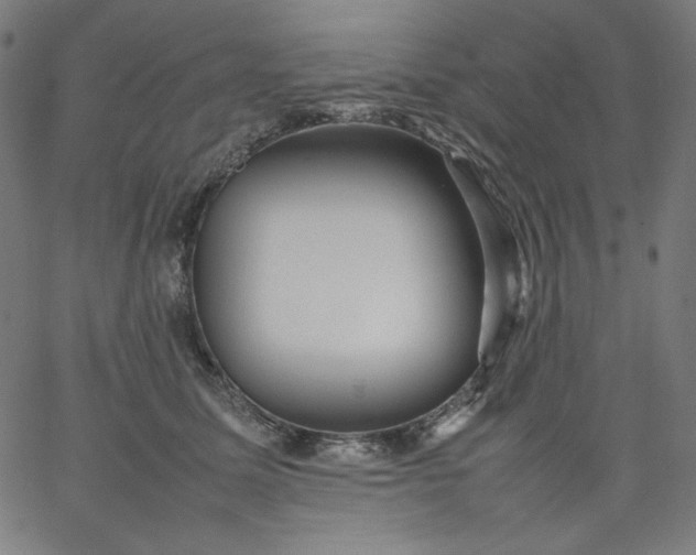 X0000067360611200604131818