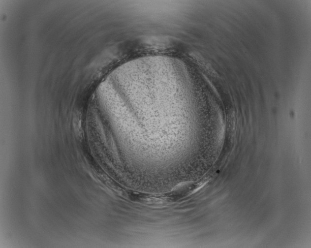 X0000067360615200604131818