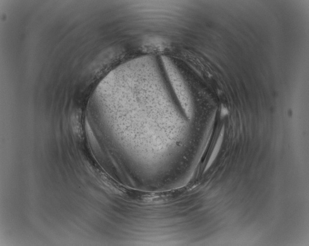 X0000067360616200604131818