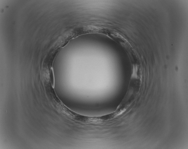 X0000067360617200604131818