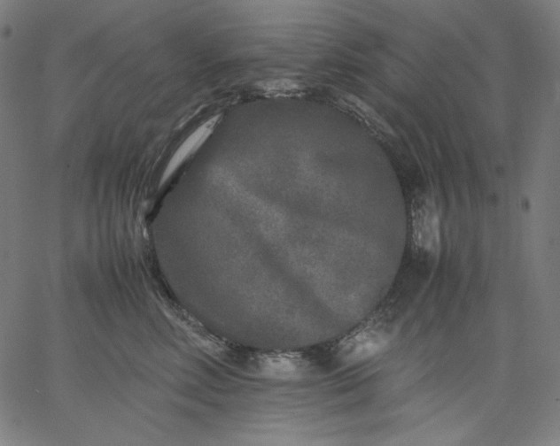 X0000067360618200604131818