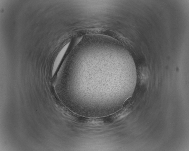 X0000067360619200604131818