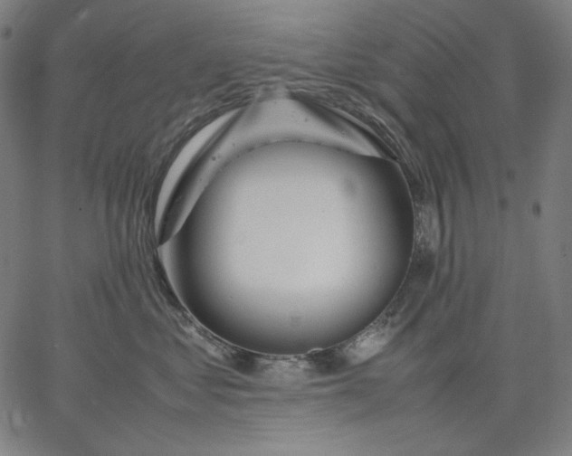 X0000067360621200604131818