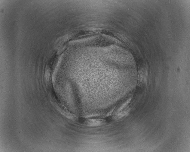 X0000067360623200604131818