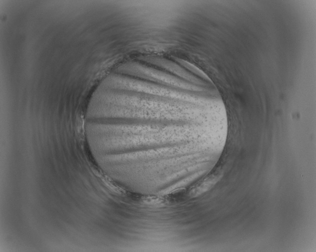 X0000067360624200604131818