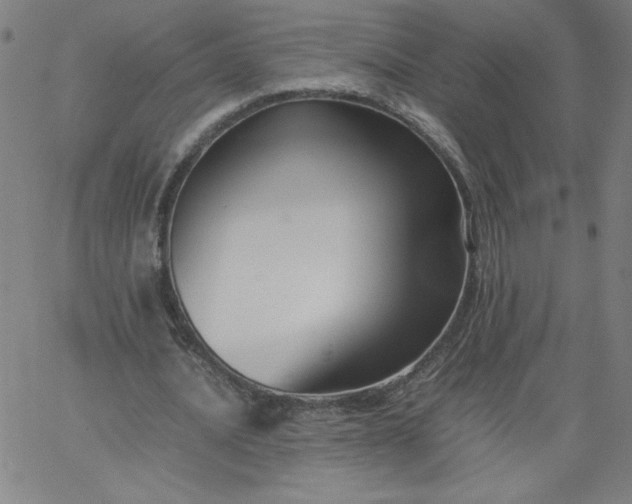 X0000067360628200604131817