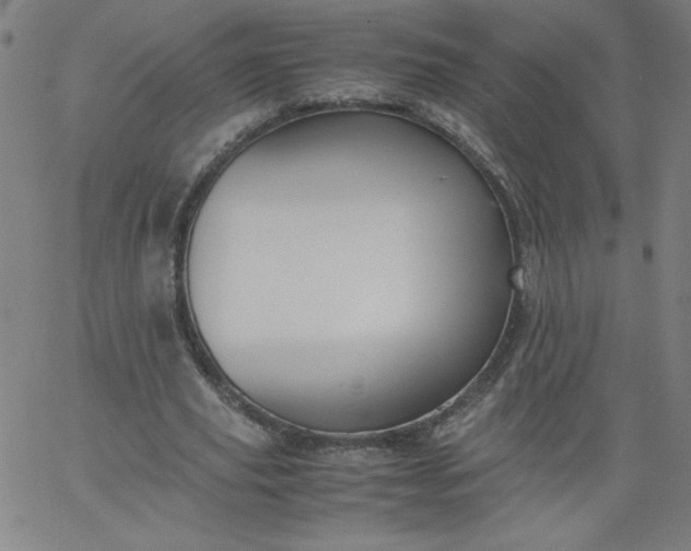 X0000067360629200604131817