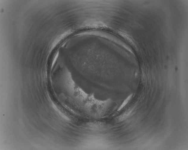 X0000067360630200604131817