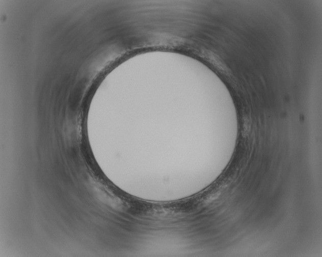 X0000067360632200604131817