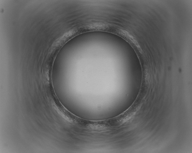 X0000067360633200604131817