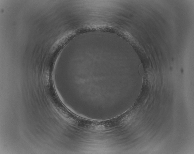 X0000067360640200604131817
