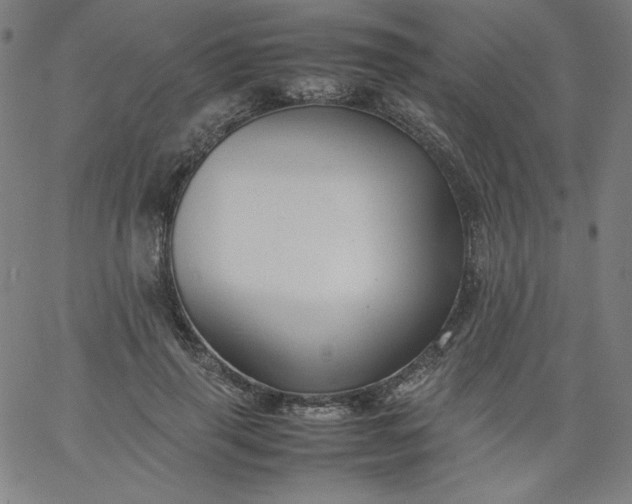X0000067360645200604131817