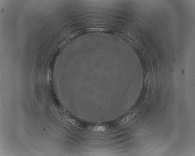 X0000067360647200604131817