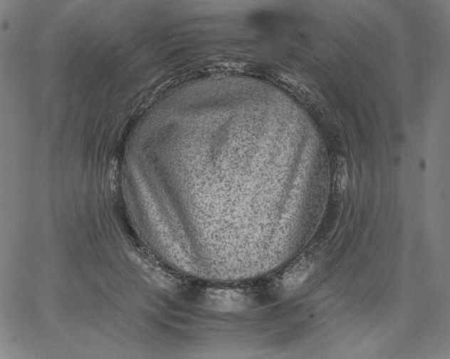 X0000067360649200604131817