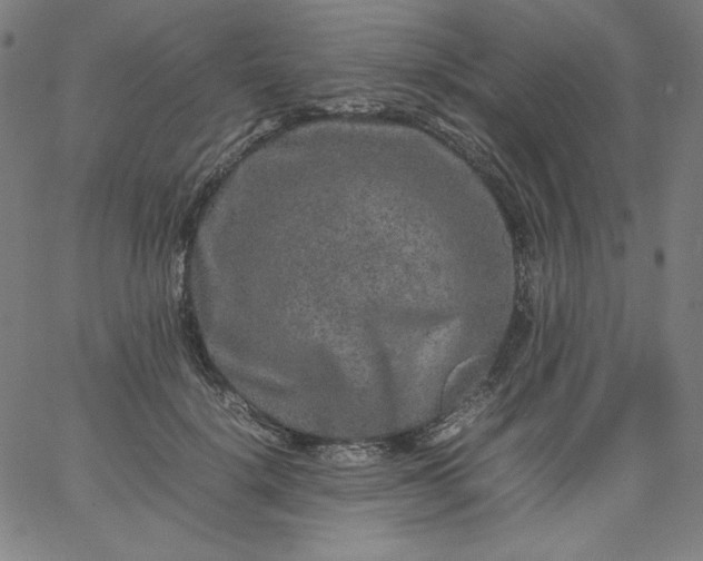 X0000067360652200604131817