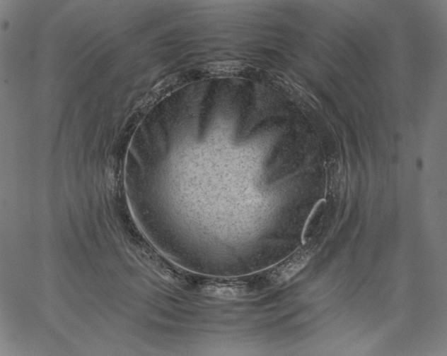 X0000067360655200604131817