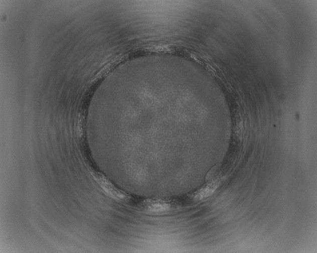 X0000067360658200604131817