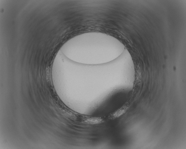 X0000067360659200604131817
