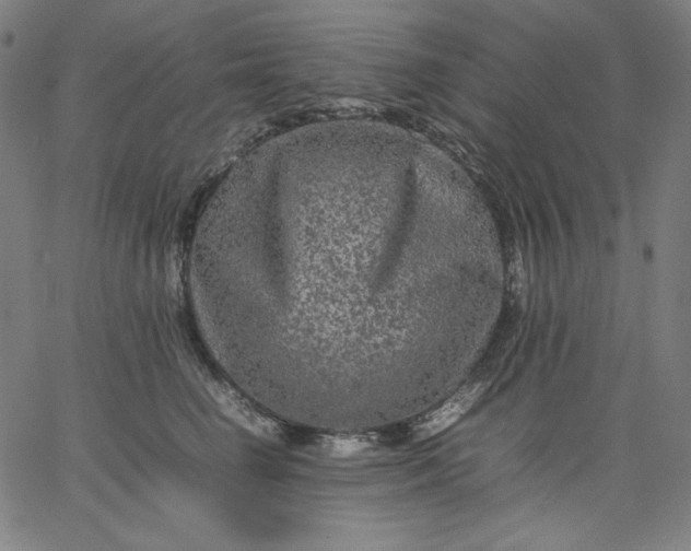 X0000067360662200604131818